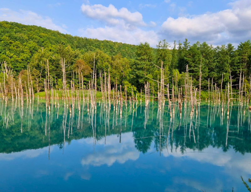 Sabbaticals & Experiential Holidays In Japan Asia - LiNGER Travel