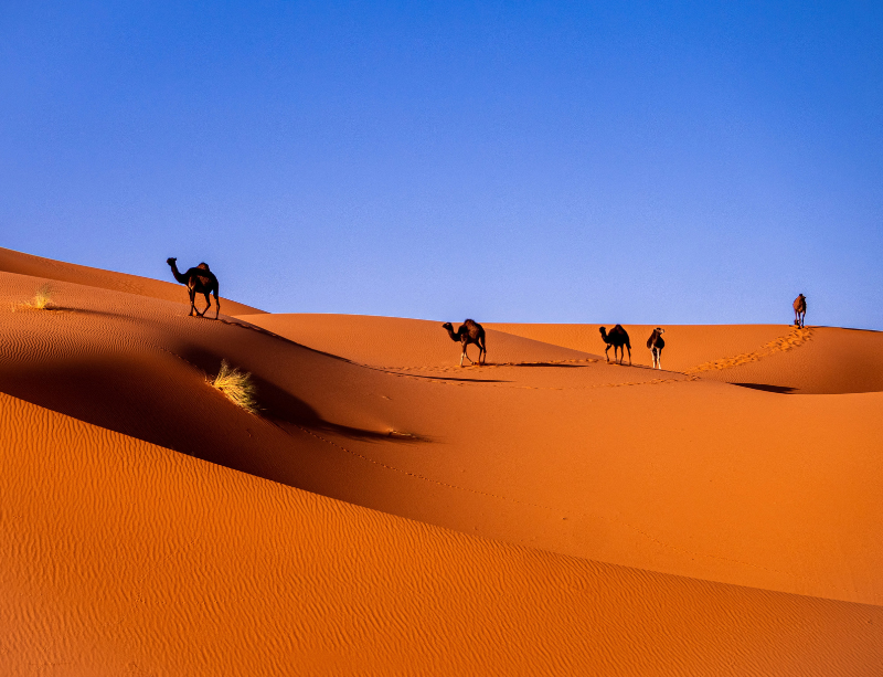 Sabbaticals & Experiential Holidays In Morocco Africa - LiNGER Travel