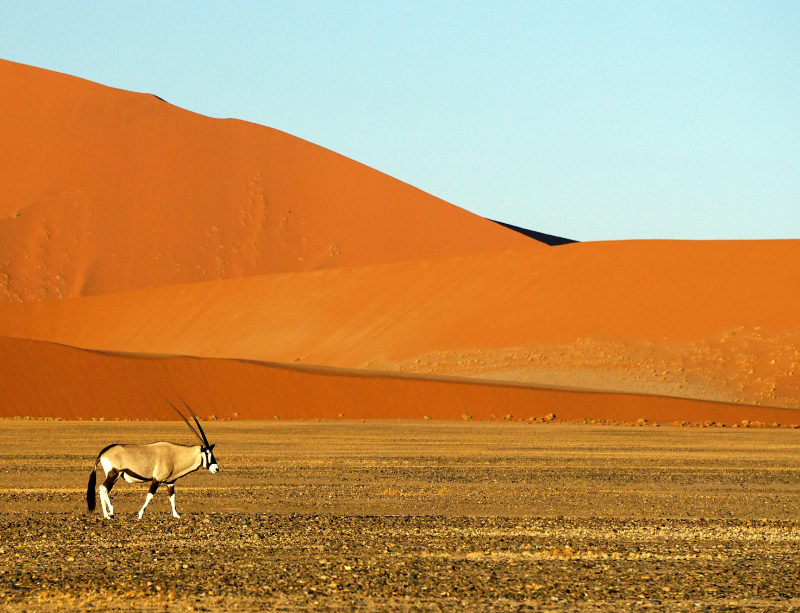Sabbaticals & Experiential Holidays In Namibia Africa - LiNGER Travel