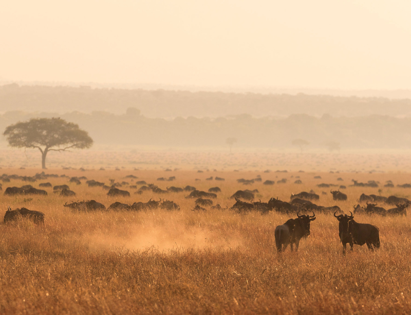 Sabbaticals & Experiential Holidays In Tanzania Zanzibar Africa - LiNGER Travel