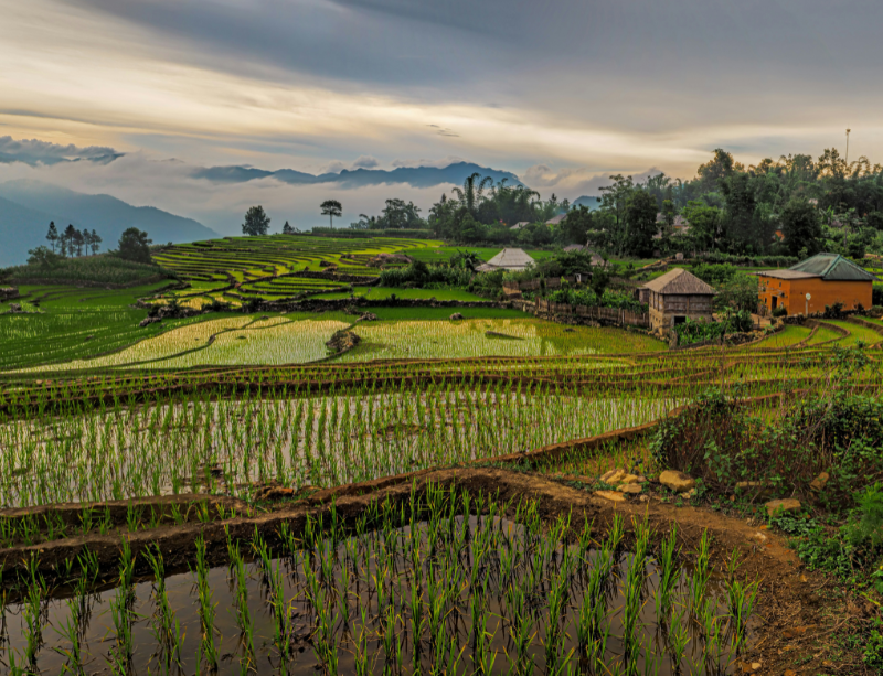 Sabbaticals & Experiential Holidays In Vietnam Asia - LiNGER Travel