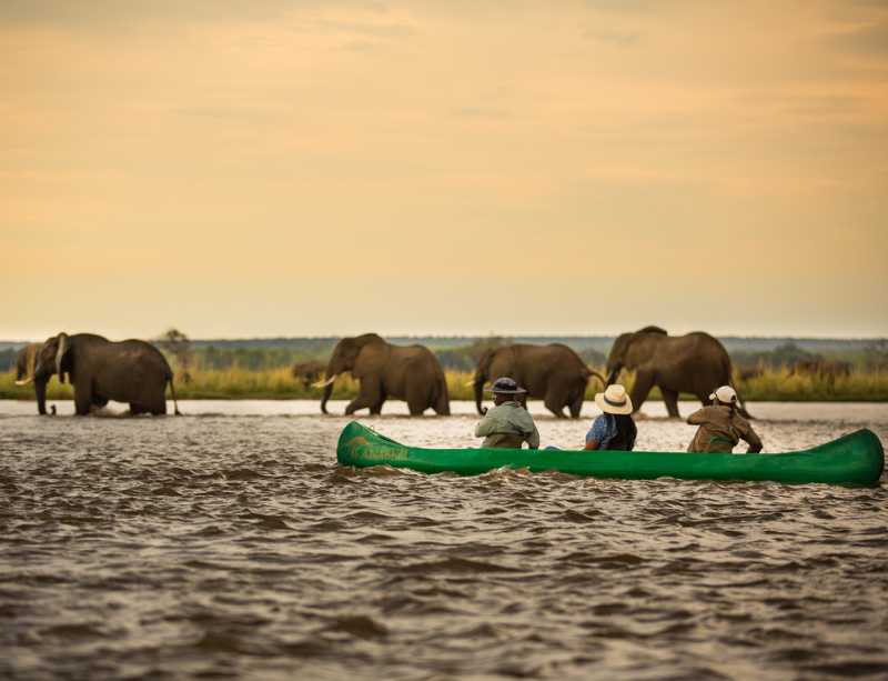 LiNGER Travel - Award-winning Creators Of Sabbaticals And Experiential Holidays - Zambia - canoeing by elephants